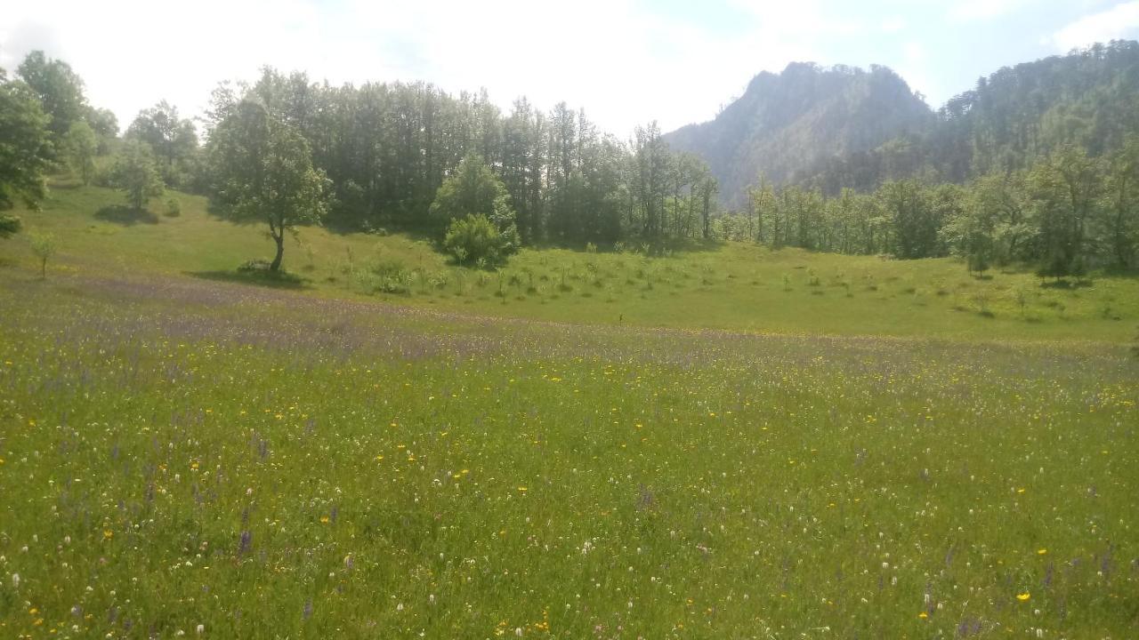 Kamp Rafting Kljajevica Luka Villa Pljevlja Kültér fotó
